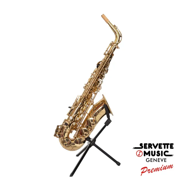henri-selmer-paris-mark-vi-saxophone-alto-vintage-n-208683-r-vis image 1
