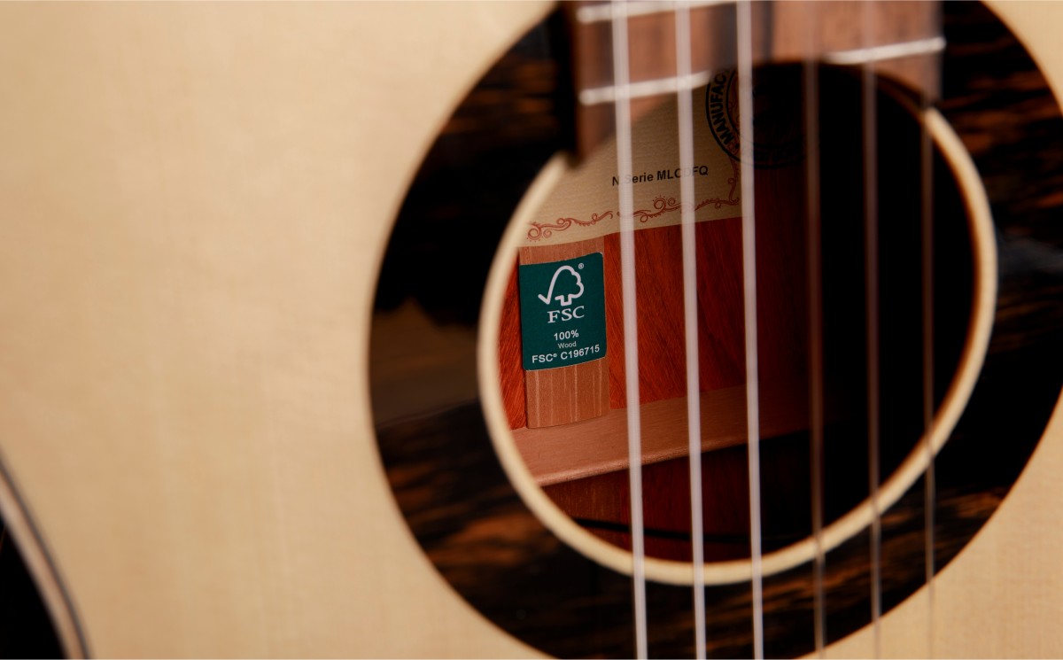 alhambra-guitarras-gs-classical-guitare-classique-green-sustain image 8