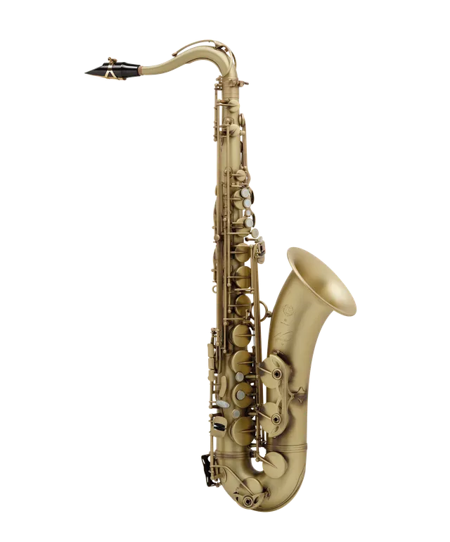 henri-selmer-paris-saxophone-reference-54 image 1