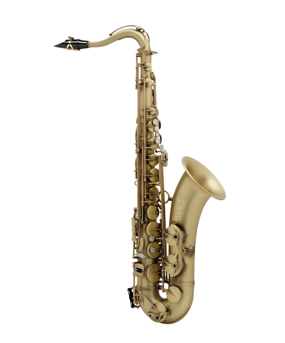 henri-selmer-paris-saxophone-reference-54 image 1