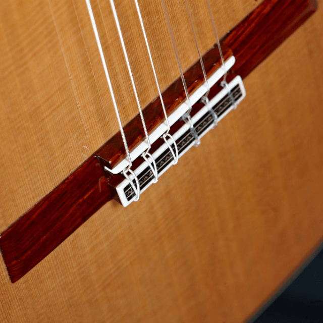 alhambra-guitarras-l-nea-profesional-guitare-de-luthier image 7