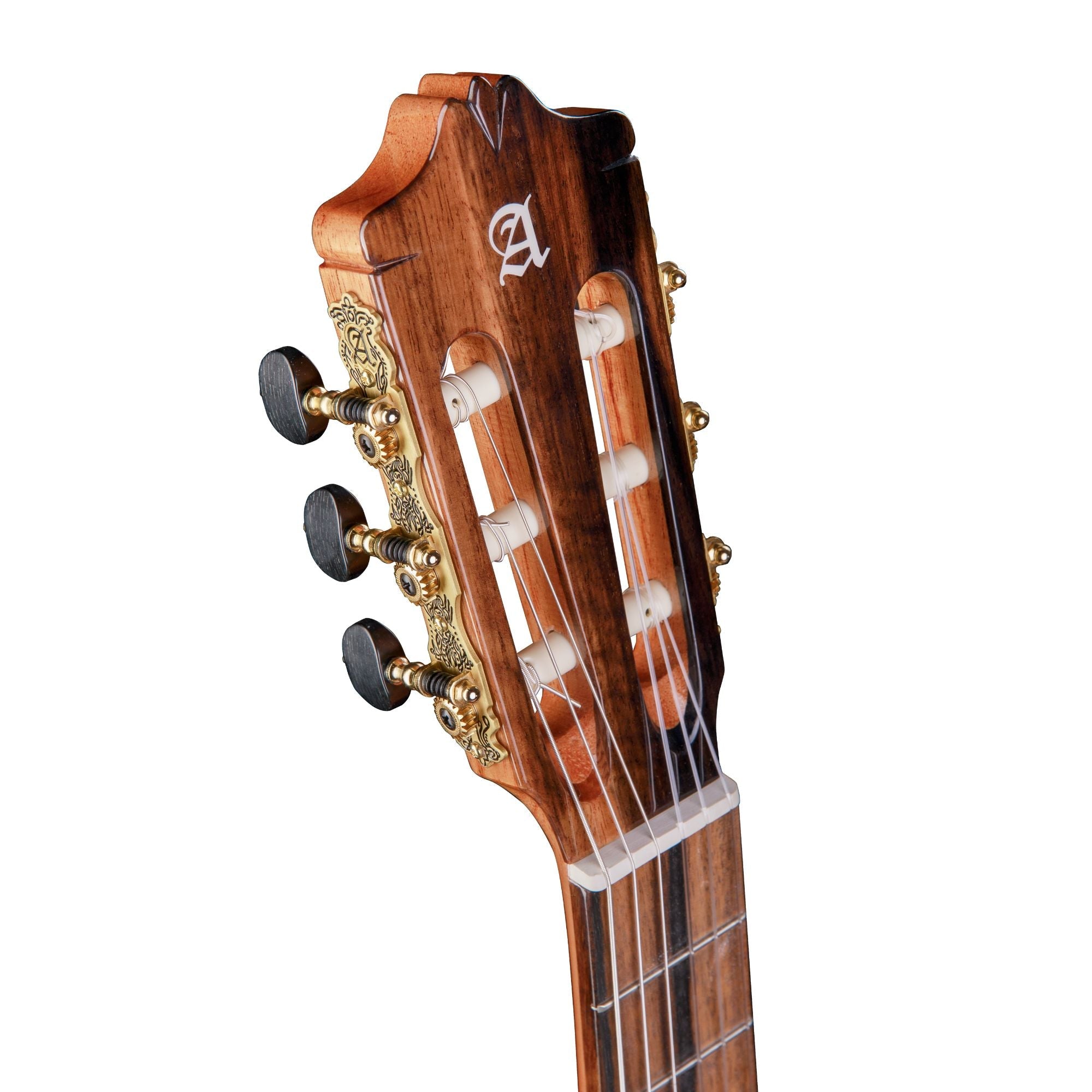 alhambra-guitarras-gs-classical-guitare-classique-green-sustain image 5
