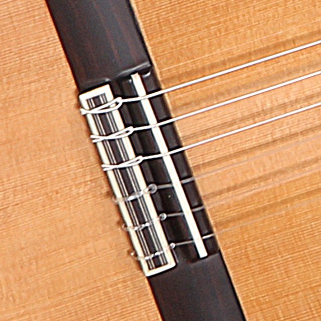 alhambra-guitarras-signature-5-fp-op-pi-ana-guitare-flamenco-negra image 4