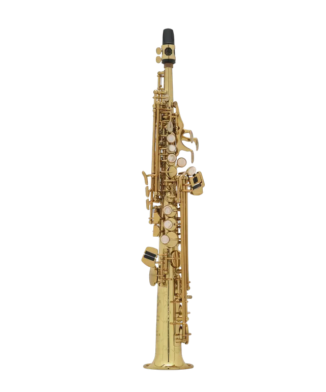 henri-selmer-paris-saxophone-sopranino-mi-b-mol-super-action-80-s-rie-ii image 1