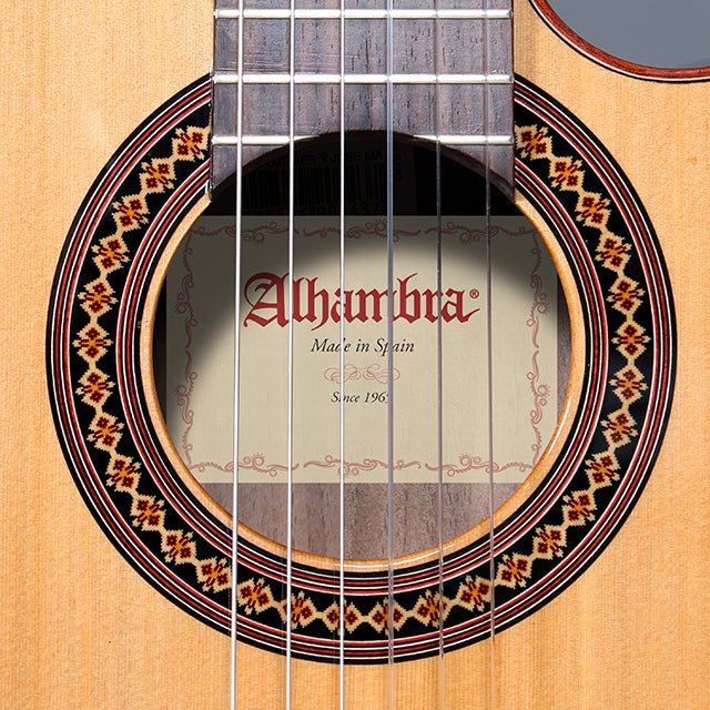alhambra-guitarras-4-z-ctw-e8-guitare-classique-lectroacoustique-ziricote image 4