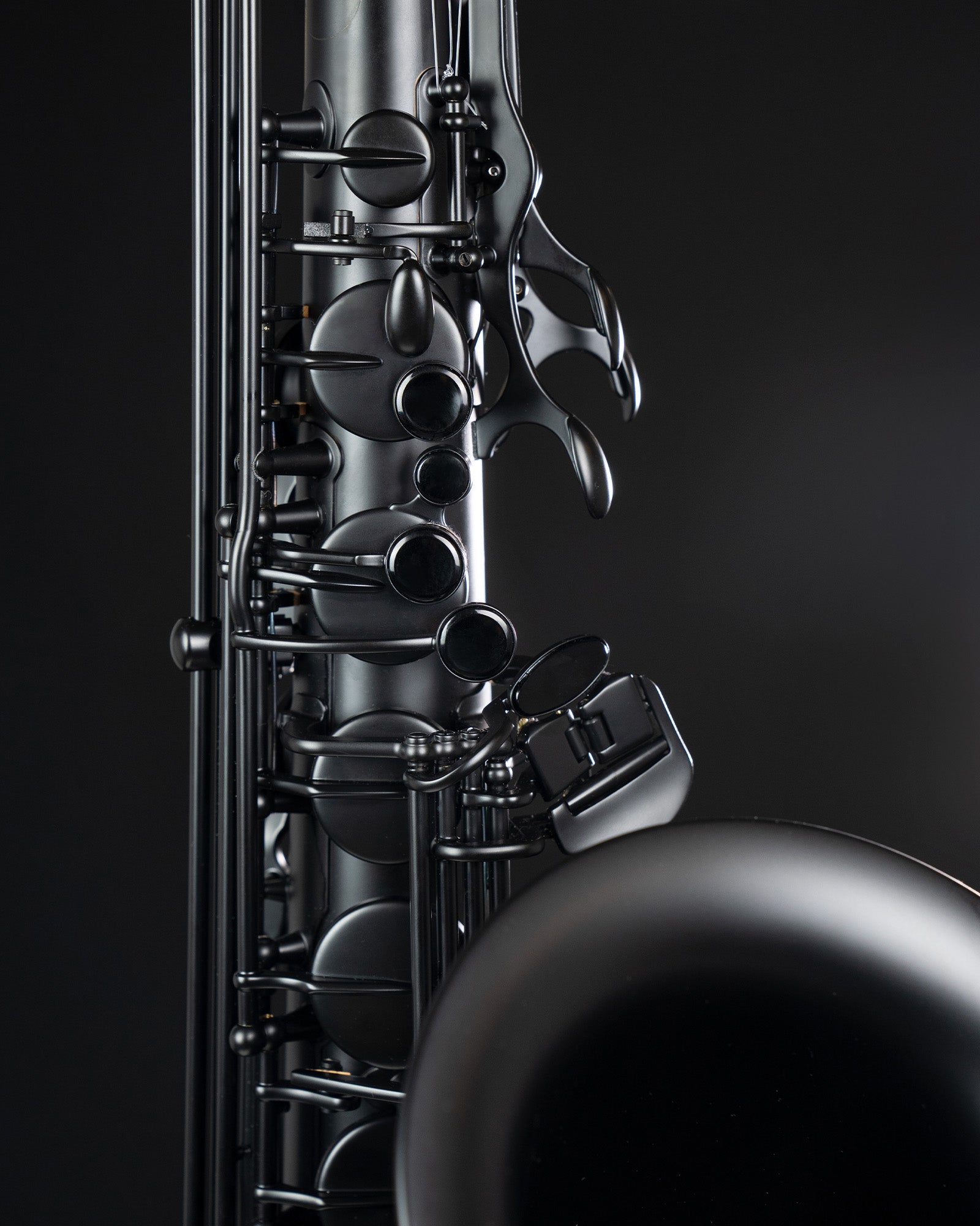 henri-selmer-paris-saxophone-t-nor-supreme-dition-limit-e-2025 image 3