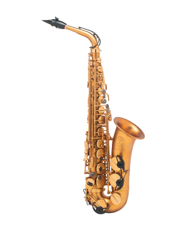 henri-selmer-paris-supreme-mod-le-2022-saxophone-alto-dition-limit-e-641-exempla image 1