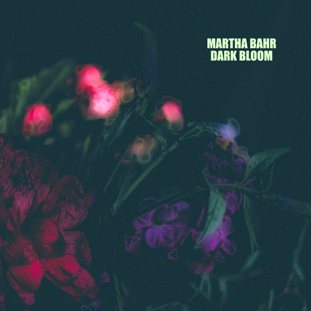 waldorf-music-soundset-martha-bahr-dark-bloom-banque-de-sons-pour-iridium-quantu image 1