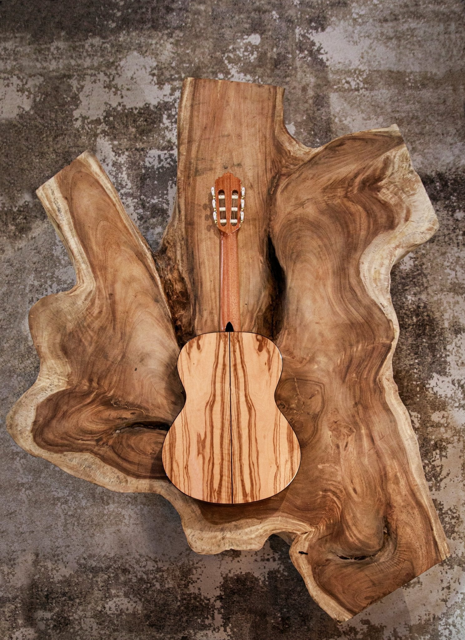 alhambra-guitarras-6-olivo-guitare-classique-table-c-dre-fond-olivier image 6