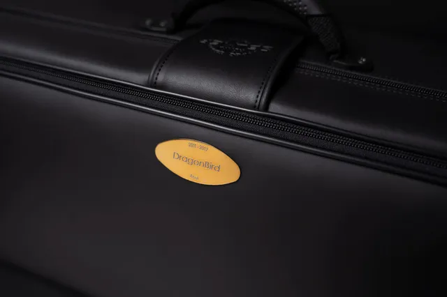 henri-selmer-paris-etui-pro-light-dragon-bird-pour-saxophone-t-nor-rewind image 1