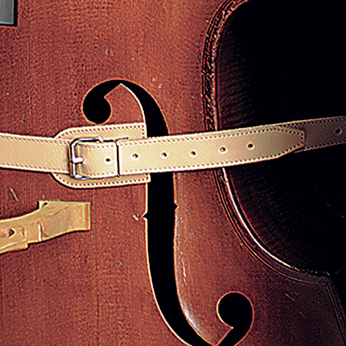 flight-case-bergerault-pour-contrebasse image 4