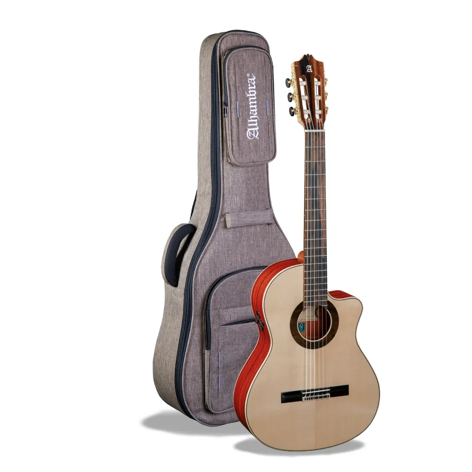 alhambra-guitarras-gs-cut-away-e8-guitare-semi-acoustique-pan-coup-green-sustain image 1
